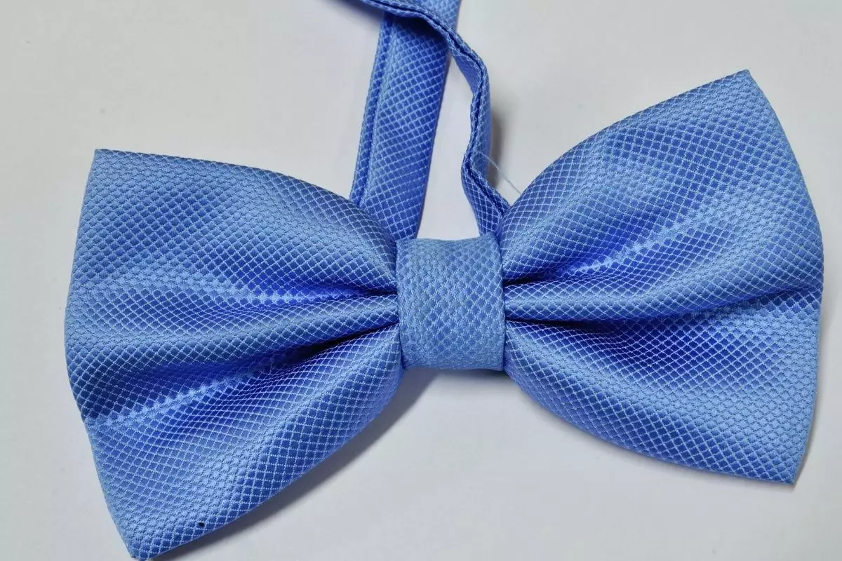 Laço - Reprodução Canva