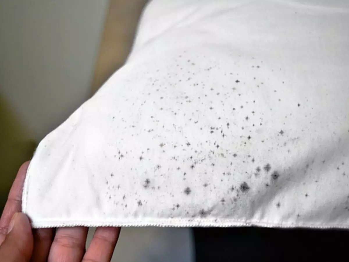 Mofo na toalha: causas e como remover em poucos passos e de maneira super rápida