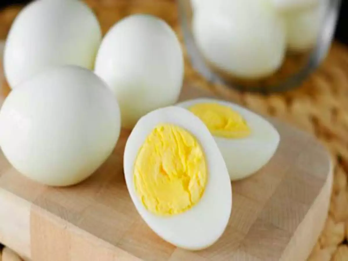 Como saber se o ovo está podre? Veja dicas rápidas para não errar! - Fonte: Pixabay