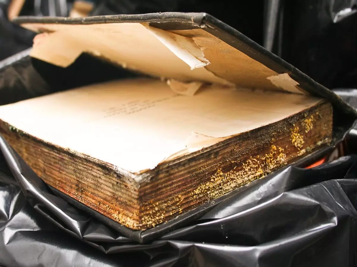 Como tirar mofo dos livros e cheiro desagradável? Veja dicas - Fonte: Canvas