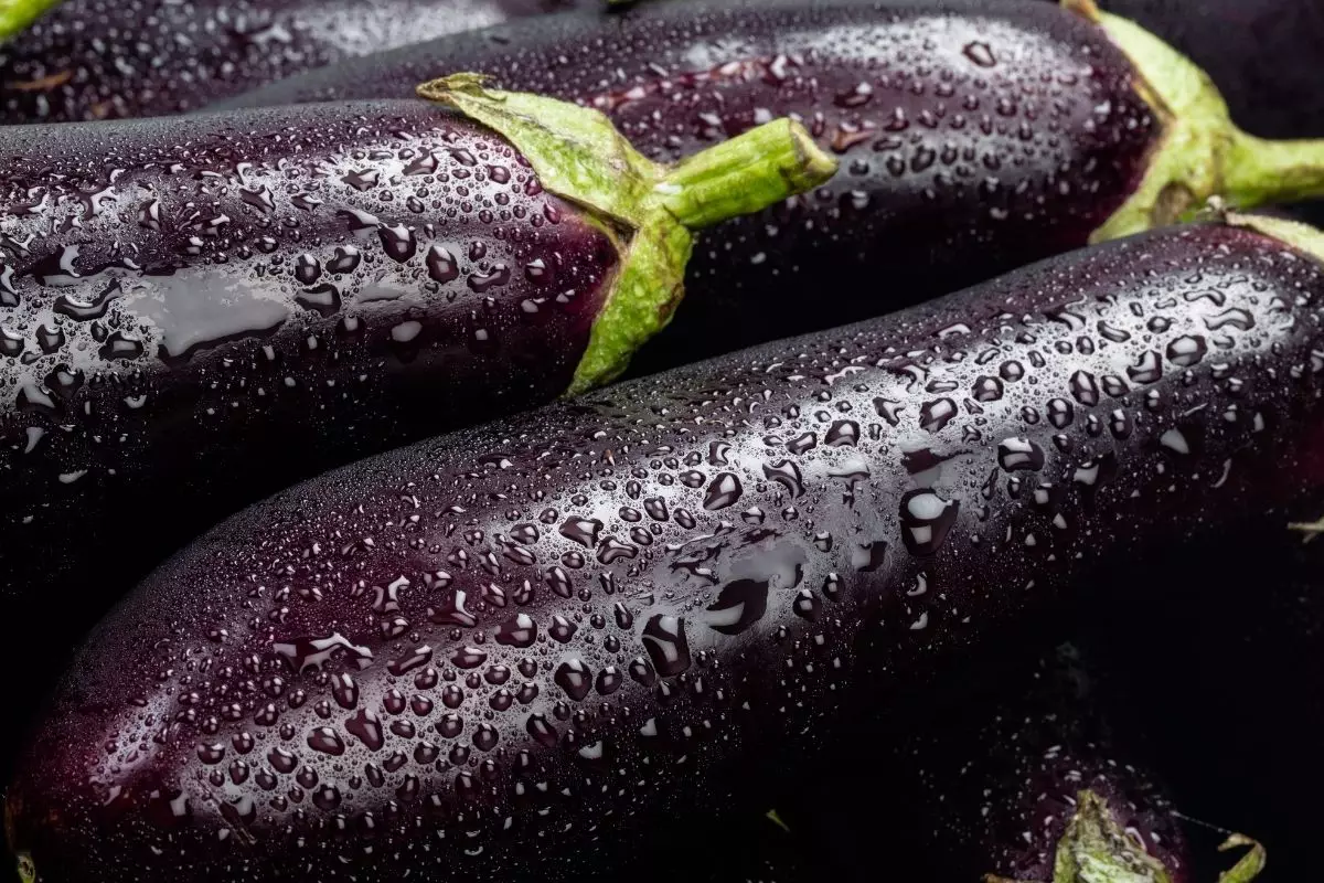 Água de berinjela - Reprodução Canva
