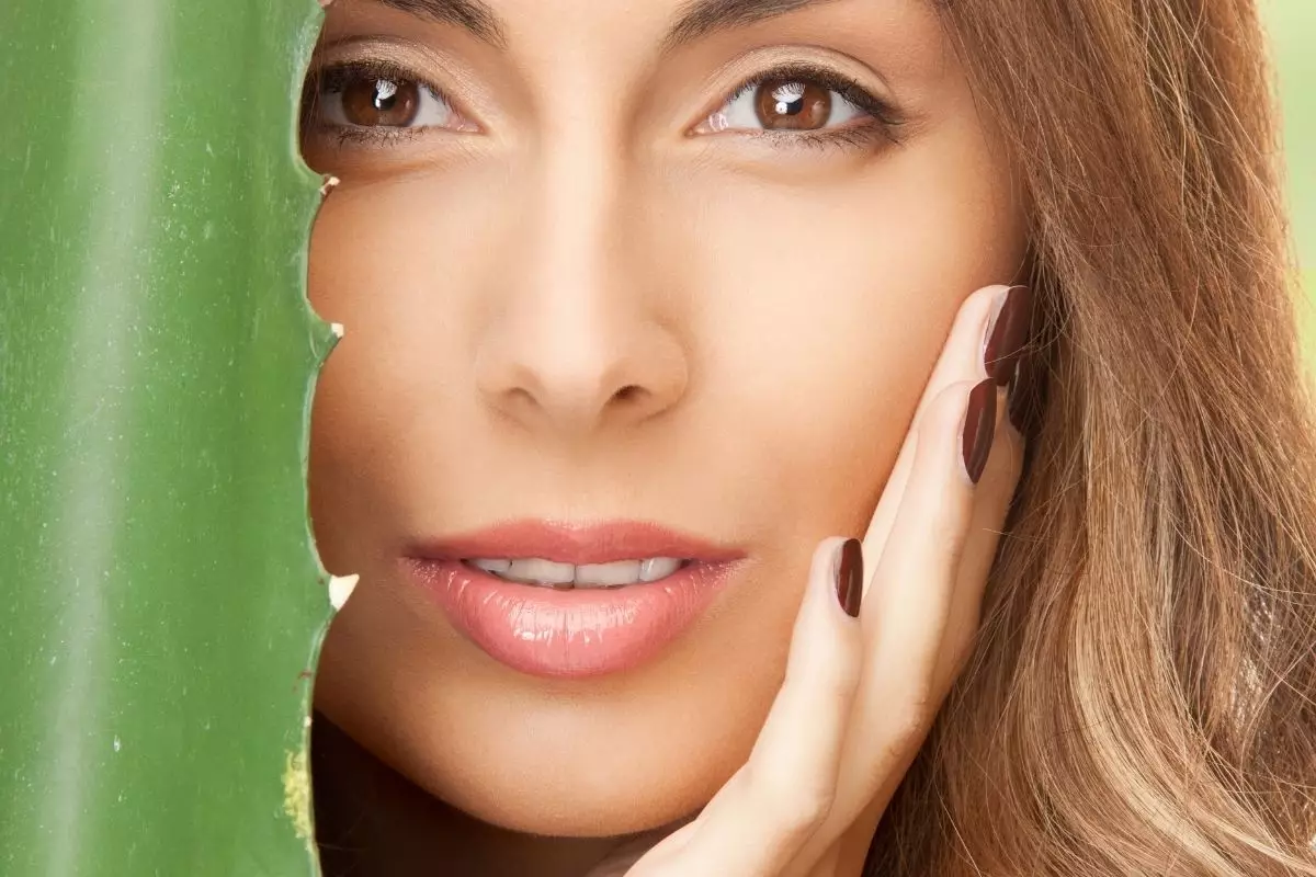 Babosa, a Aloe vera, aprenda a plantar em casa e usar na pele e cabelos. Reprodução: Canva.