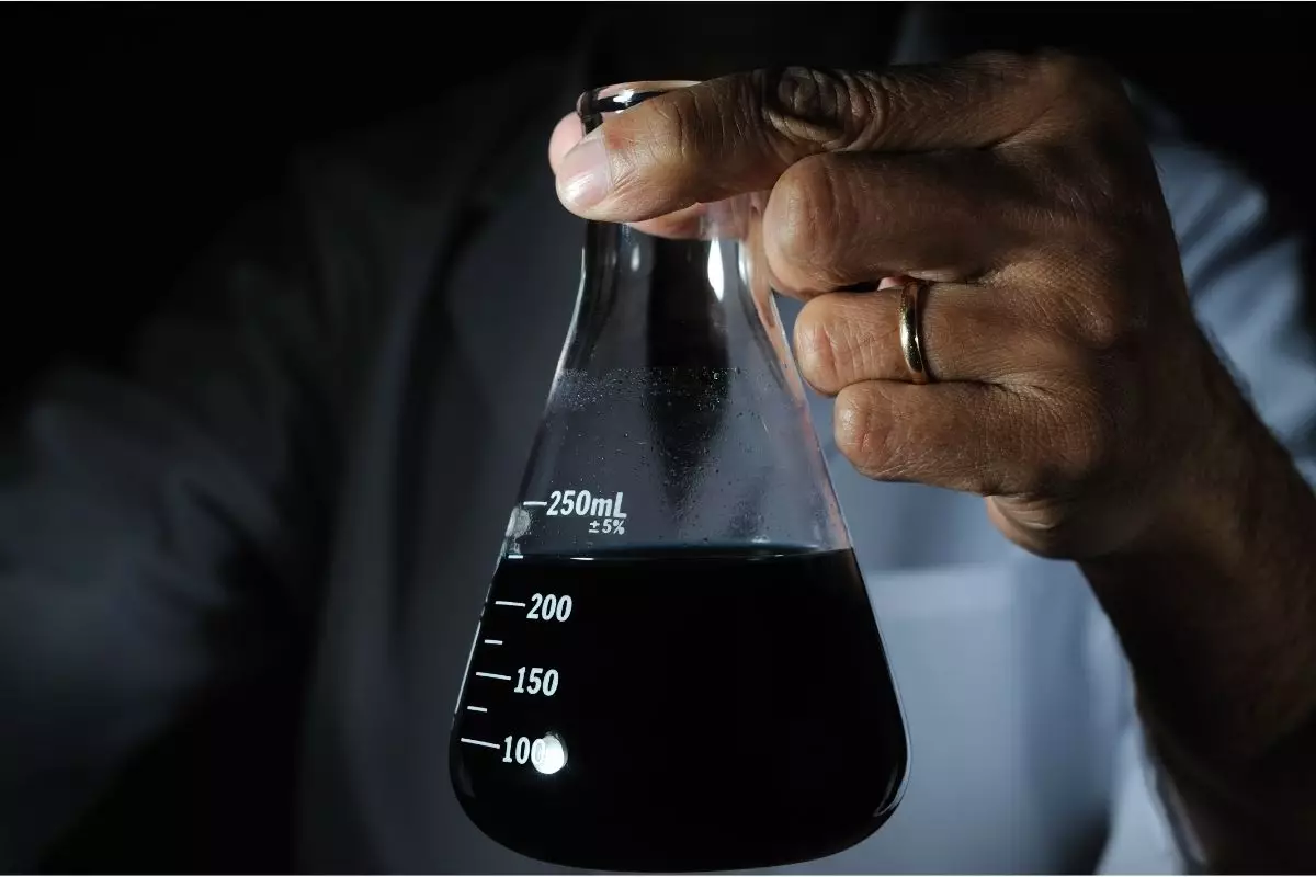 Acabe com pragas de uma vez por todas! Conheça os benefícios da calda de fumo - Reprodução Canva