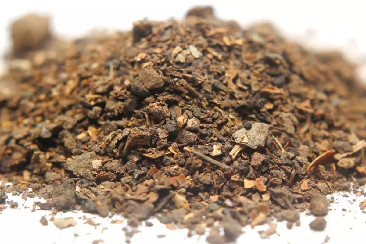 Conheça a torta de algodão, um adubo orgânico simples de usar - Reprodução Canva