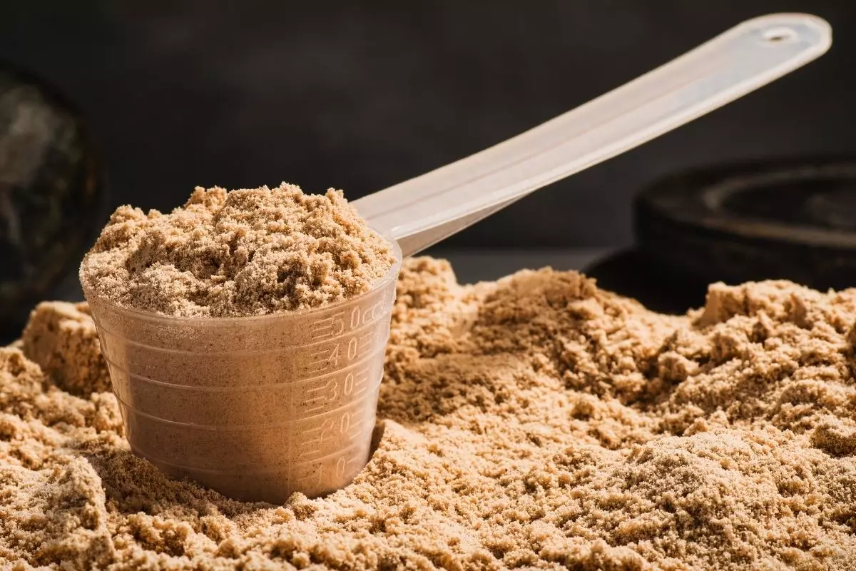 Whey Protein - reprodução: Canva