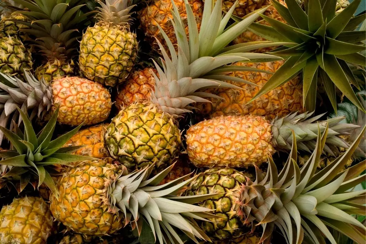 Benefícios do abacaxi - reprodução: Canva