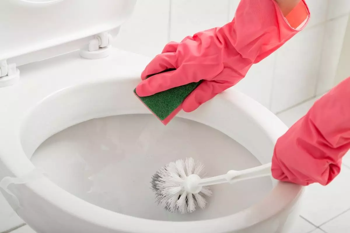 Escova sanitária: descubra como higienizar corretamente esse item
