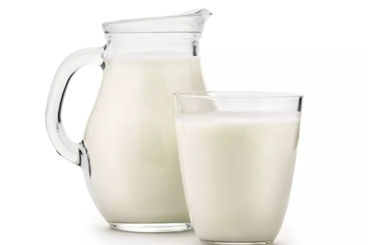 Leite nas plantas Entenda o motivo dessa prática incomum e como usar no seu jardim - Reprodução Canva (2)