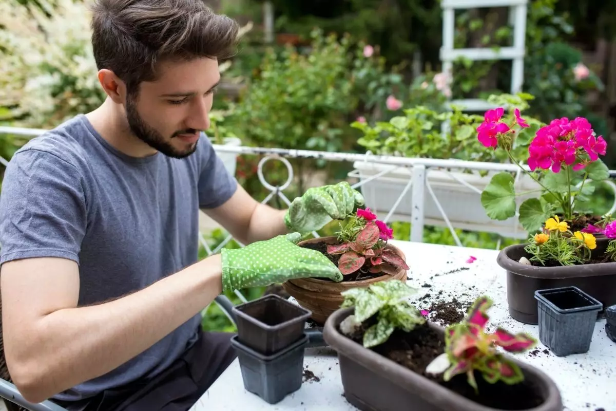 Não faça isso! Os 3 maiores erros cometidos por quem tem horta em casa - Reprodução Canva (2)