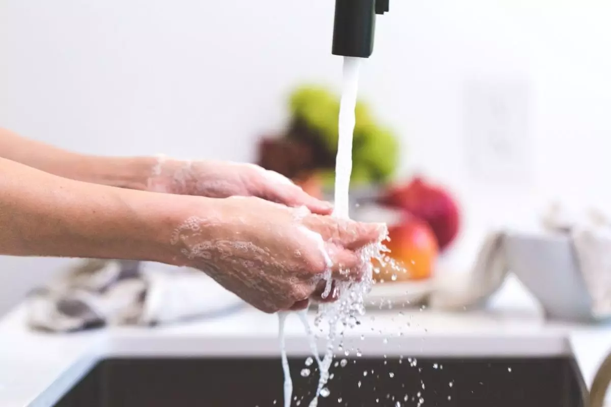 Tirar cheiro de tempero - Reprodução Canva