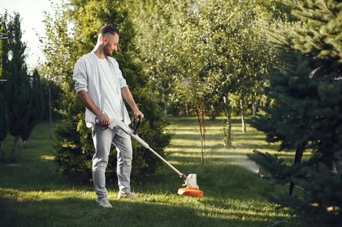 Limpeza de quintal: veja as dicas práticas para limpar área externa e quintal