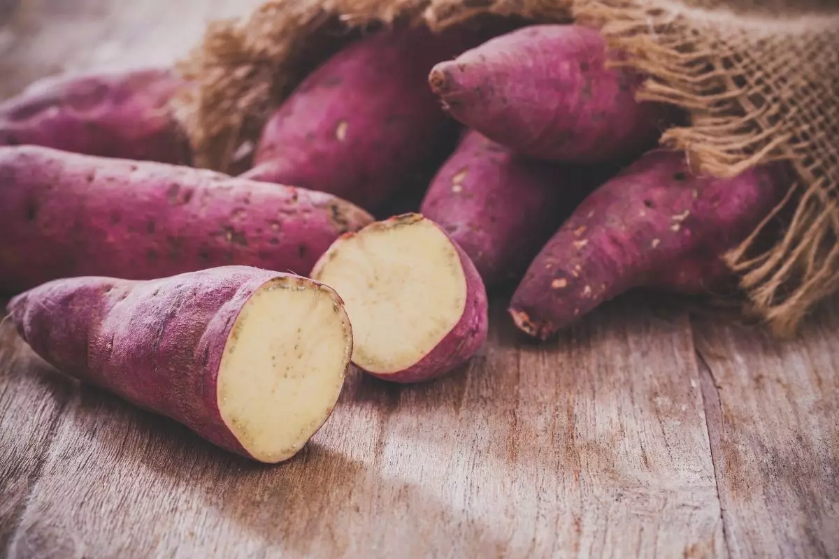 batata doce - Reprodução Canva