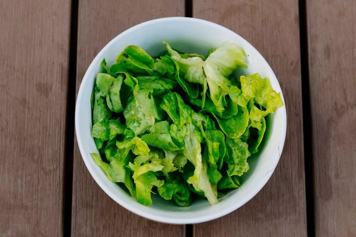 chá de alface - Reprodução Canva