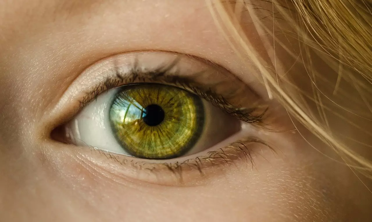 Alimentos para visão: saiba quais são os alimentos que ajudam na saúde dos olhos - pixabay