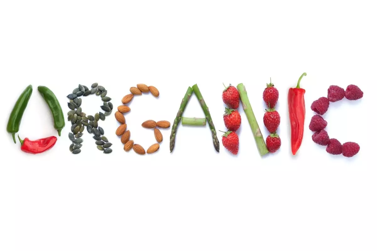frutas e verduras orgânicas, o que são - reprodução canva
