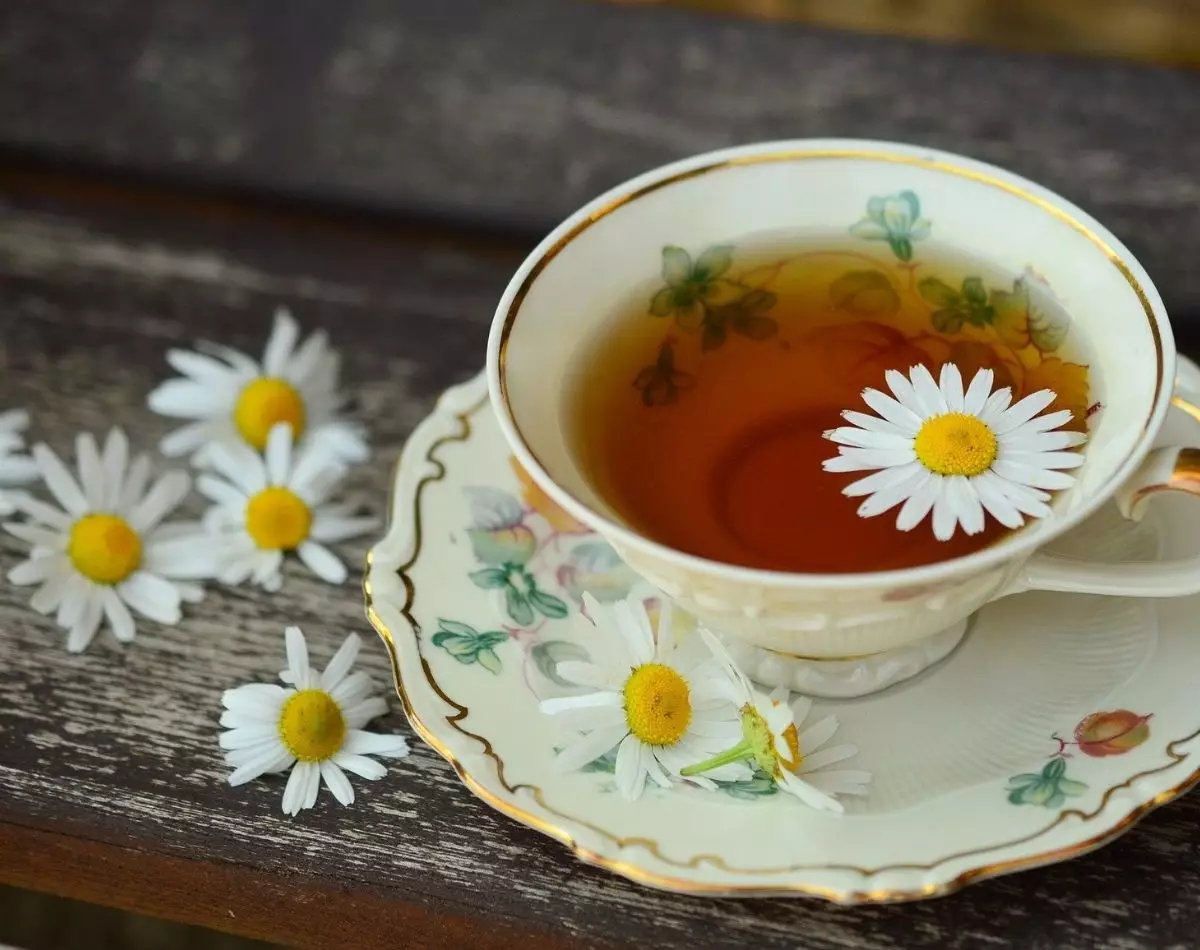 Plantas calmantes: 3 para combater a ansiedade e o estresse naturalmente - pixabay