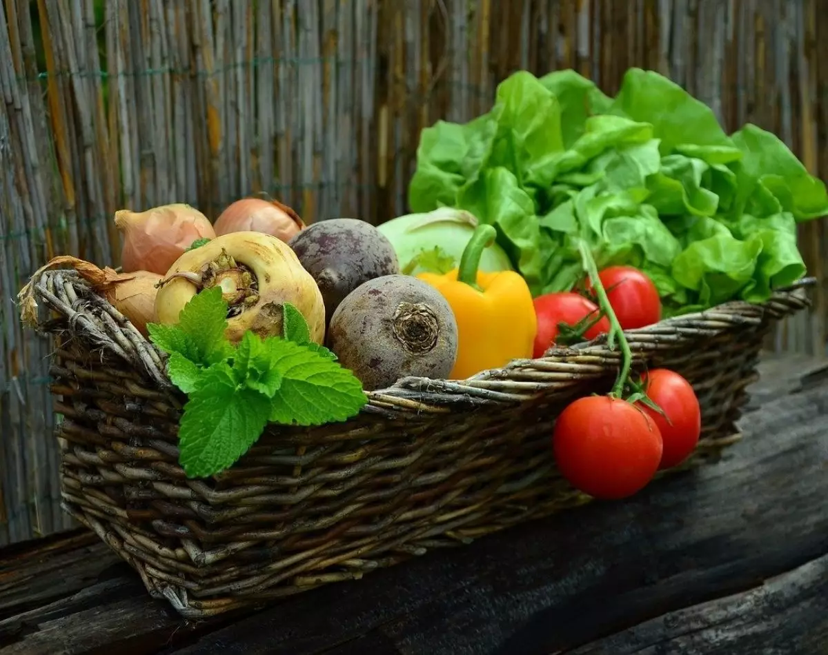 Legumes e verduras: conheça 3 vegetais para você plantar em casa - pixabay