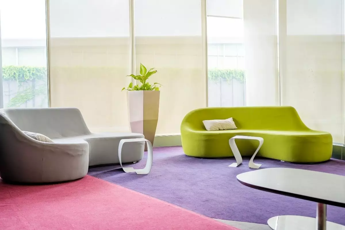 2 plantas lindas para ambiente interno cultive em casa, apartamento ou clínica - Reprodução Canva