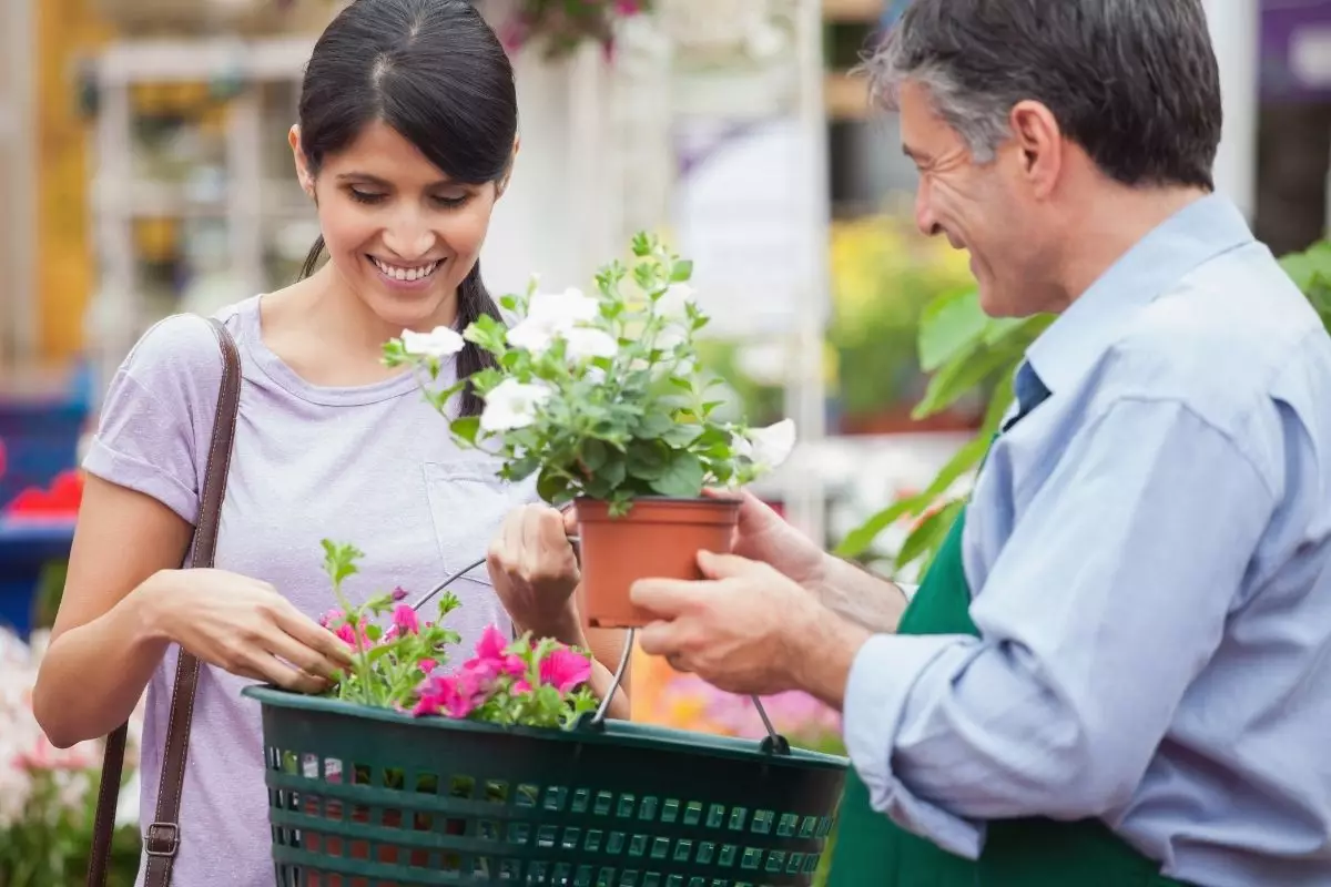3 dicas para complar plantas sem ser enganado aprenda a escolher - Reprodução Canva