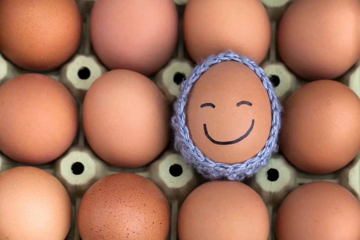 Aprenda de vez, o jeito certo de higienizar e guardar os ovos. Reprodução: canva