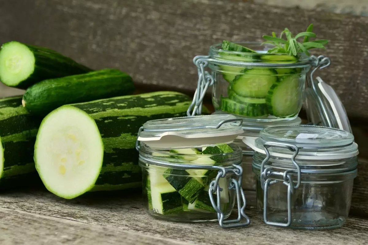 Benefícios da abobrinha - reprodução Canva