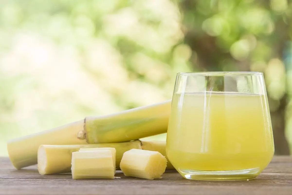 Caldo de cana medicinal: uma receita potente, energética e hidratante