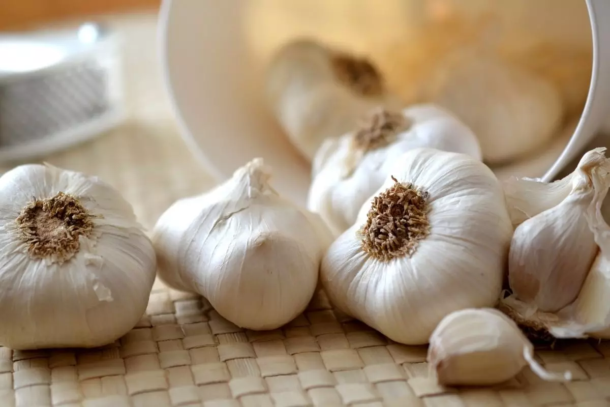 Como tirar cheiro de alho das mãos - reprodução Canva