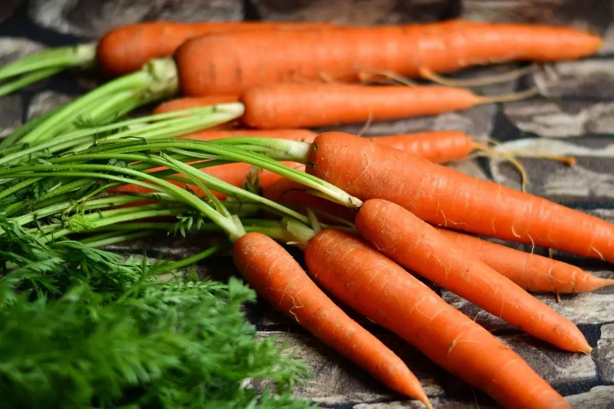 Aprenda agora mesmo como plantar cenoura de um jeito simples - reprodução: Canva