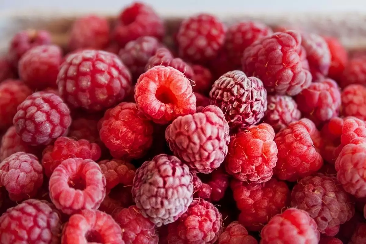 Framboesa: conheça mais sobre essa fruta que é muito saborosa = reprodução: Canva