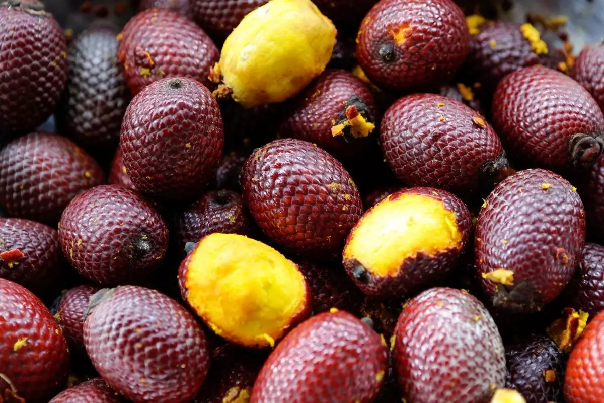 Conheça os benefícios do buriti para a saúde - reprodução: Canva