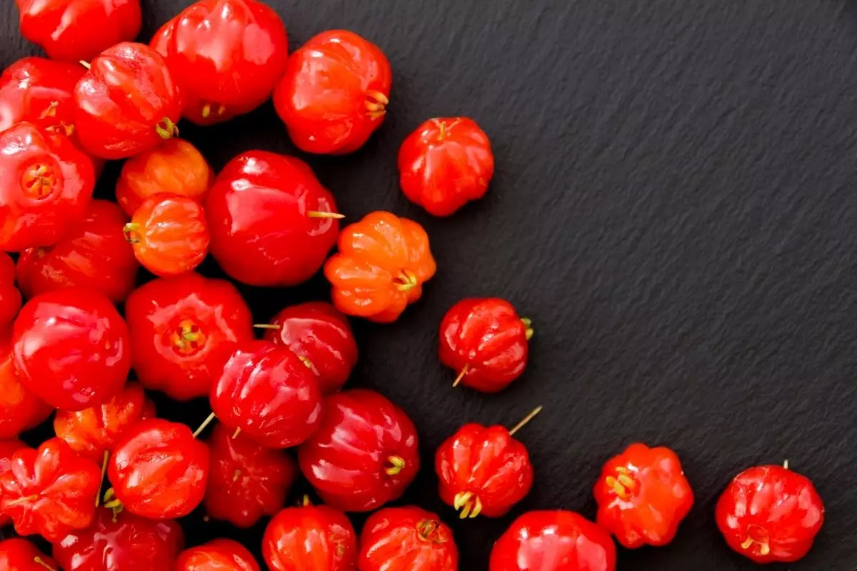 Bonsai de pitanga: descubra o encontro botânico entre Brasil e Japão (Canva/Reprodução)