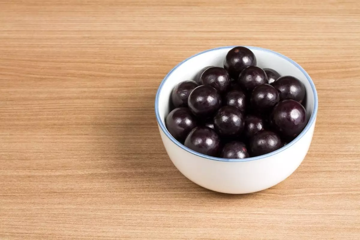 Bonsai de jabuticaba: por que cultivar essas frutinhas com pouco espaço (Canva/Reprodução)
