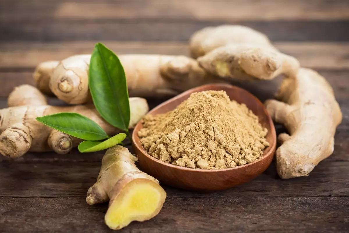 Gengibre - reprodução Canva