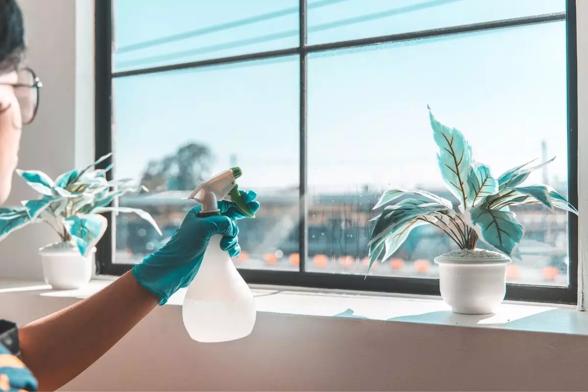 Limpador de vidro caseiro com apenas dois ingredientes: aprenda agora – Reprodução do Canva.