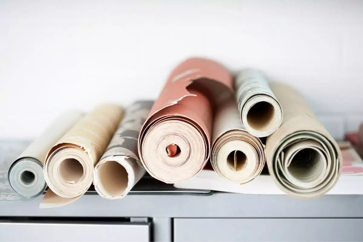 Papel de parede - Reprodução Canva