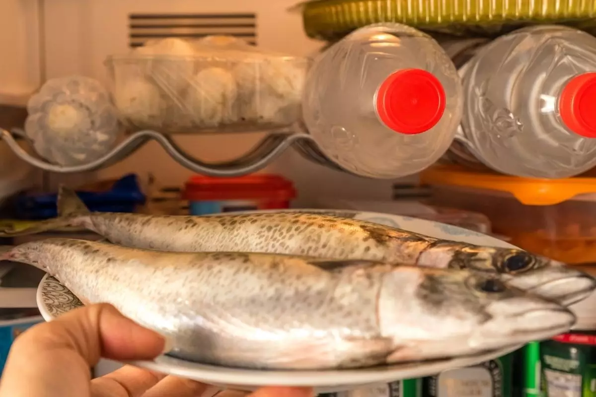 Peixe na geladeira - Reprodução Canva