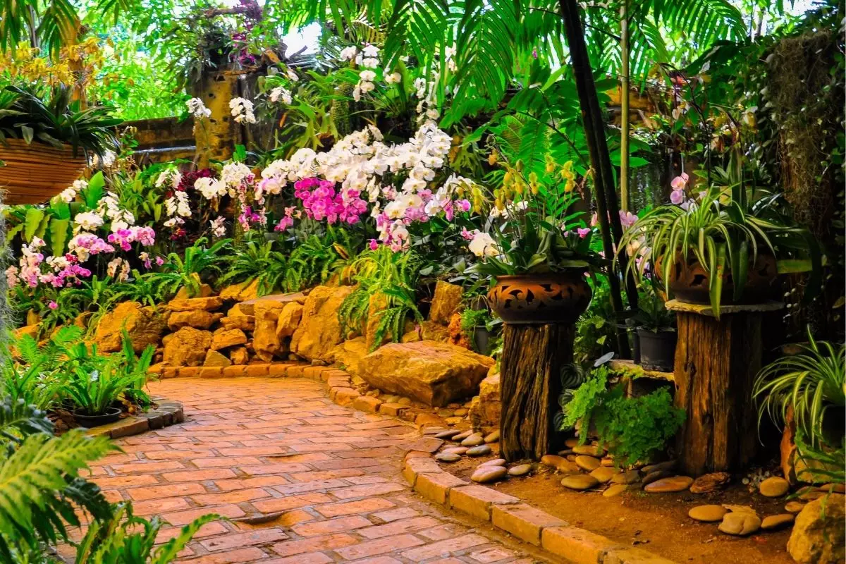 Plantas mais vivas aprenda 3 cuidados importantes para garantir isso - reprodução Canva