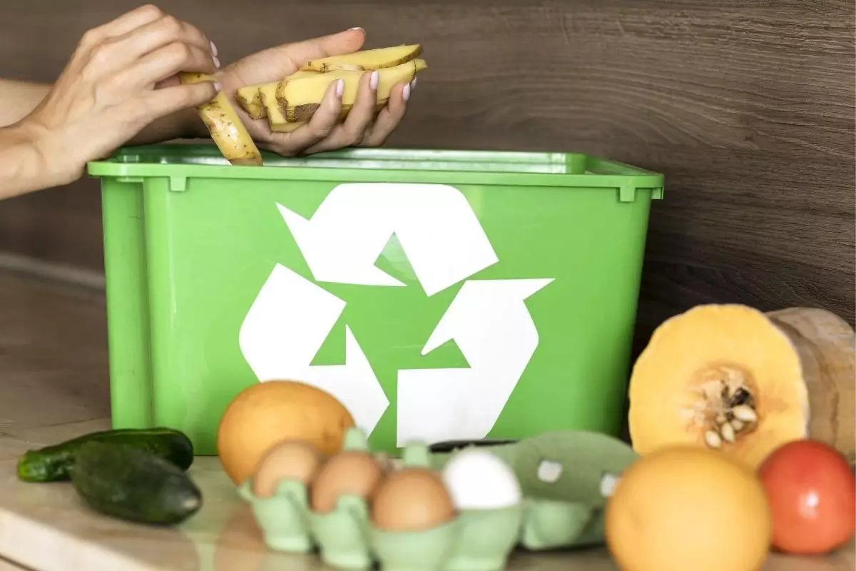 Tipos de lixo - Reprodução Canva