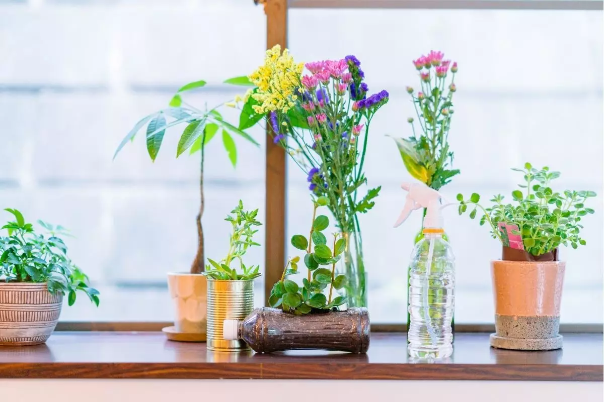 Vaso de planta lindo, econômico, simples e rápido: aprenda agora