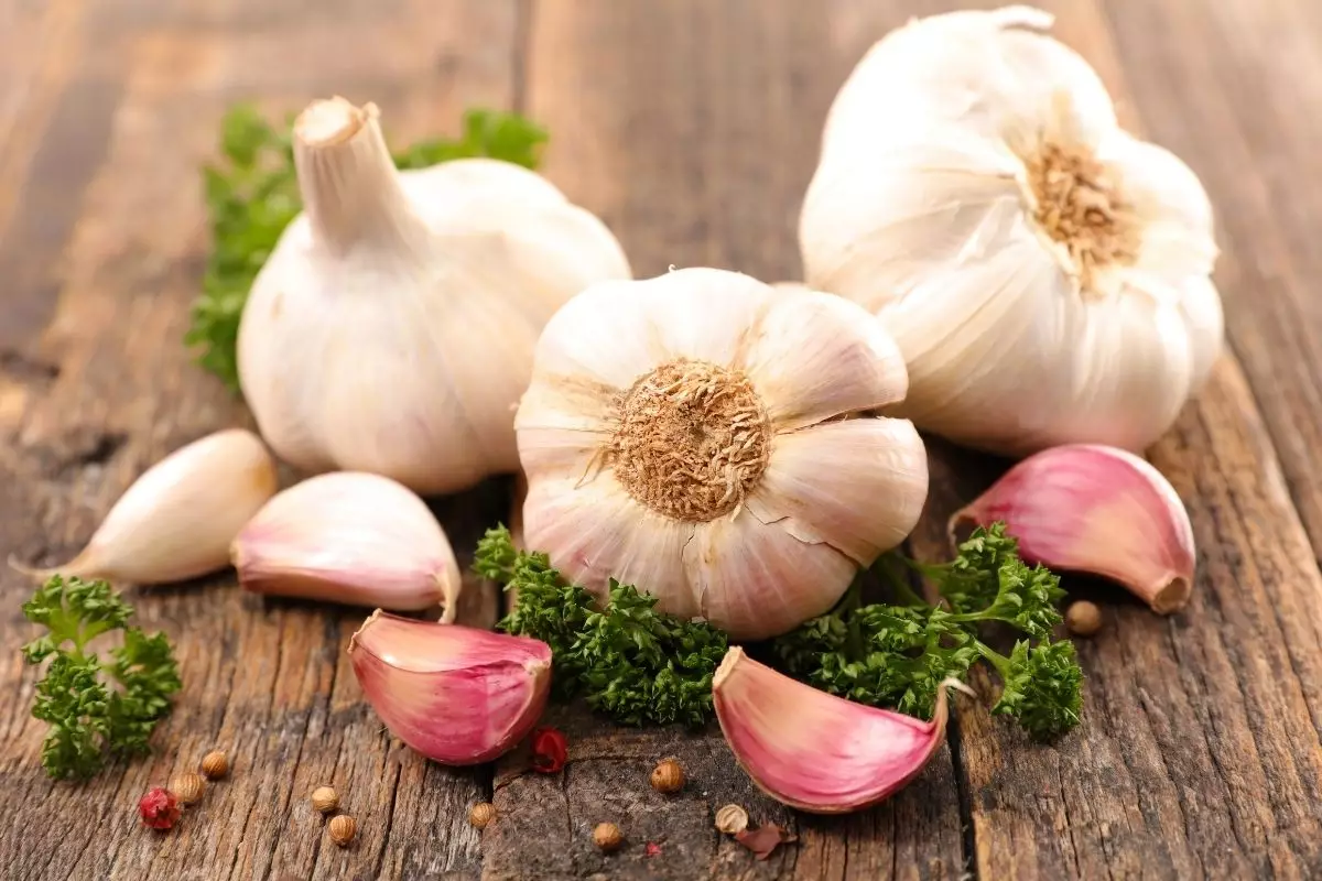 alho - Reprodução Canva