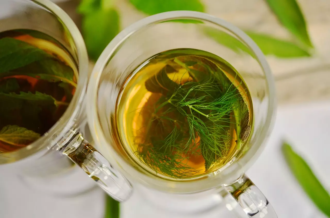 A erva doce é um calmante poderoso e possui também efeito analgésico, confira mais benefícios - pixabay
