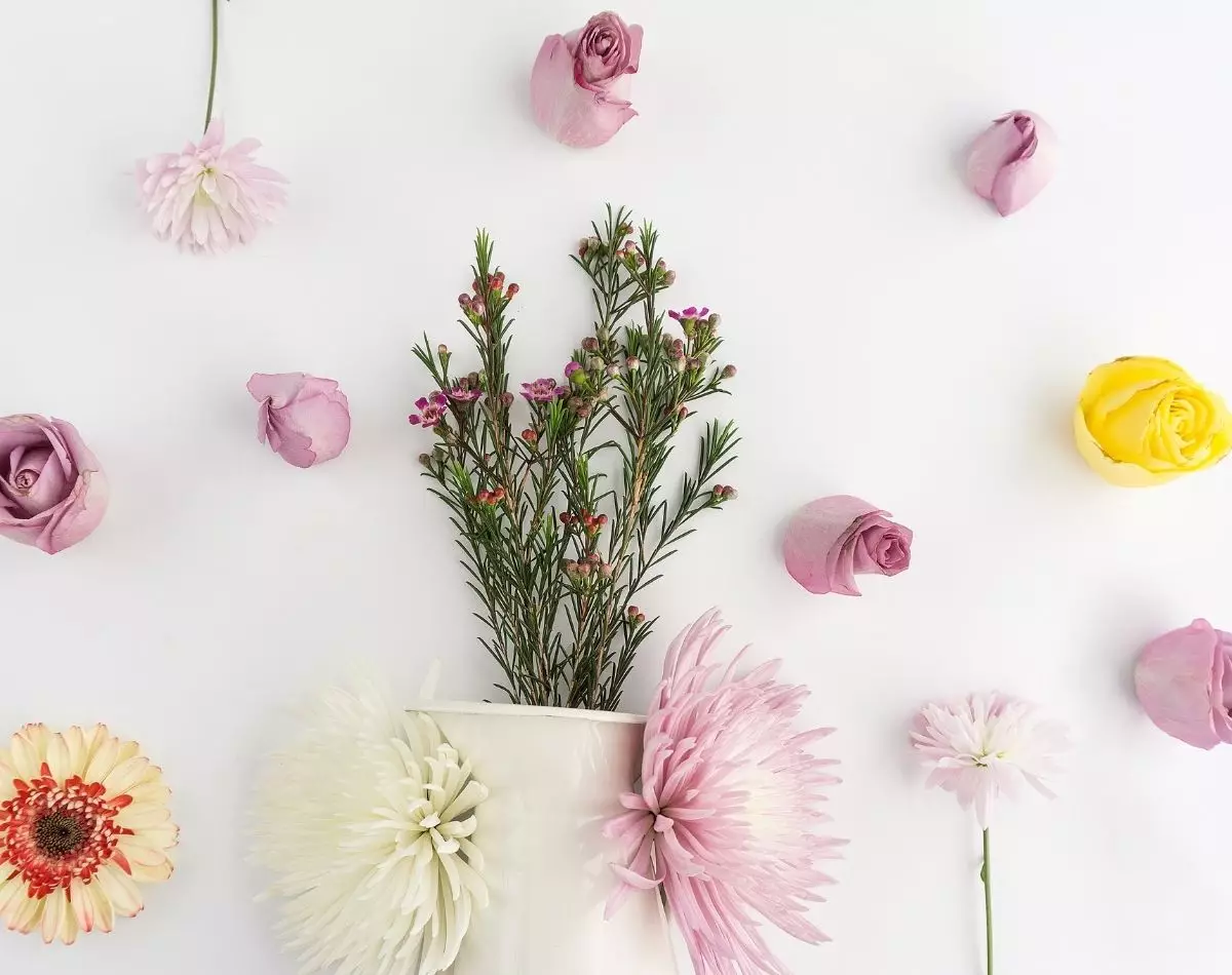 Plantas grandes: conheça algumas para usar na decoração da sua casa - pixabay
