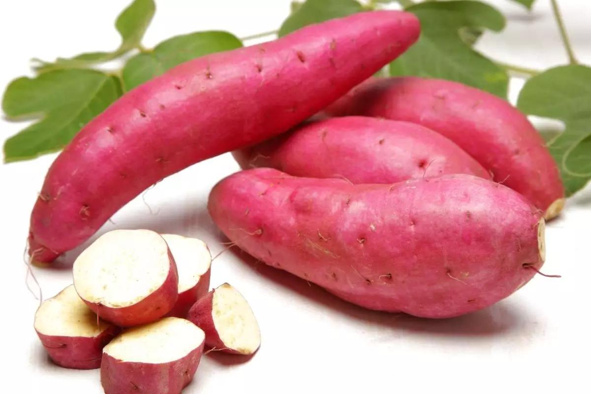 suco de batata doce - Reprodução Canva