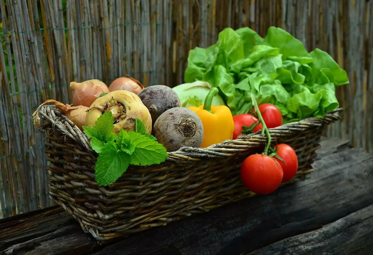 Vegetais reutilizáveis: confira como plantar restos na sua horta - pixabay