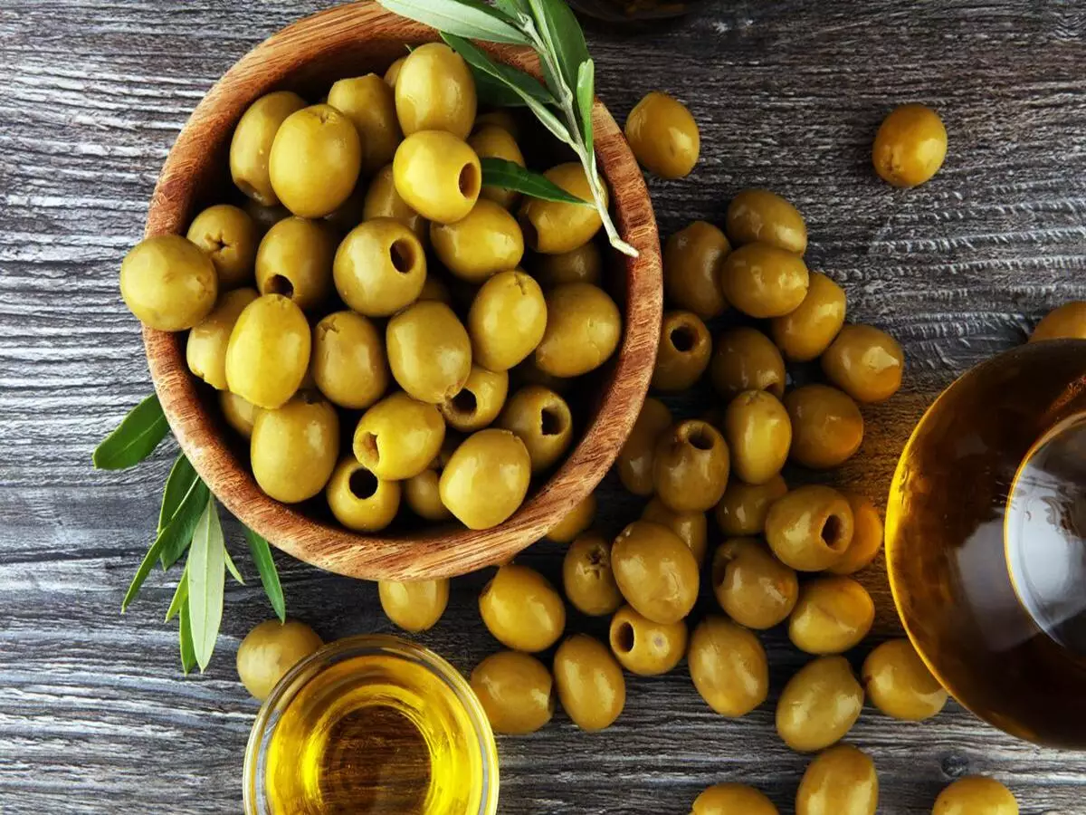 Como fazer muda de azeitona para ter um pé em casa, veja tutorial