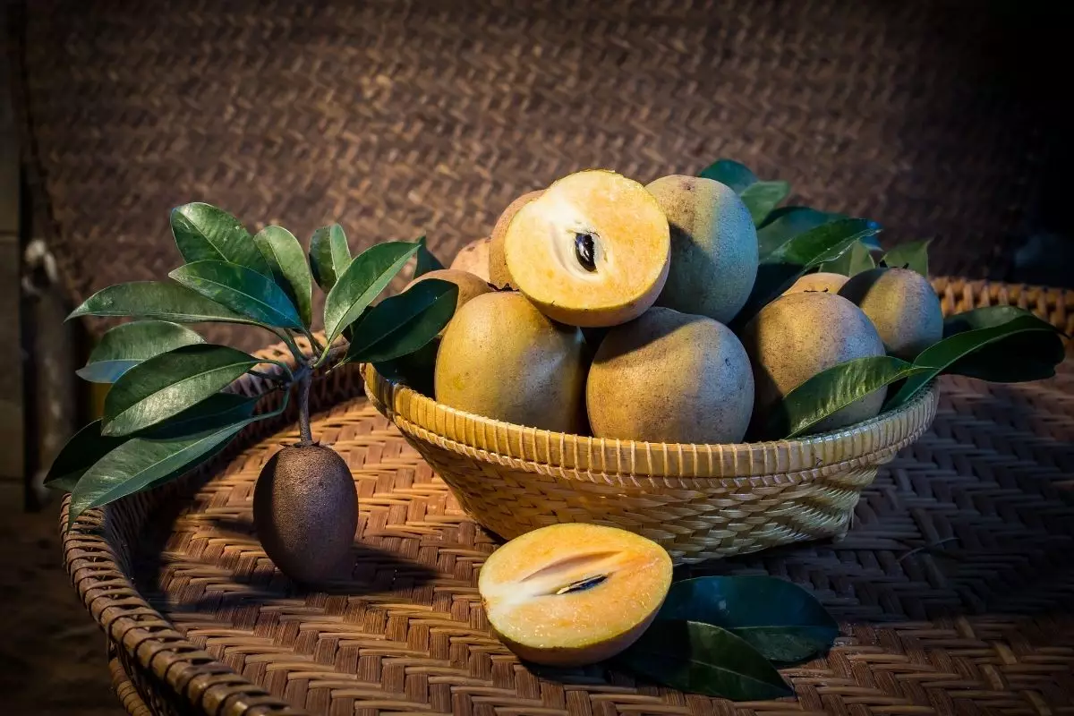 Sapoti: conheça a fruta que é saborosa e rica em vitaminas e minerais. Reprodução: canva