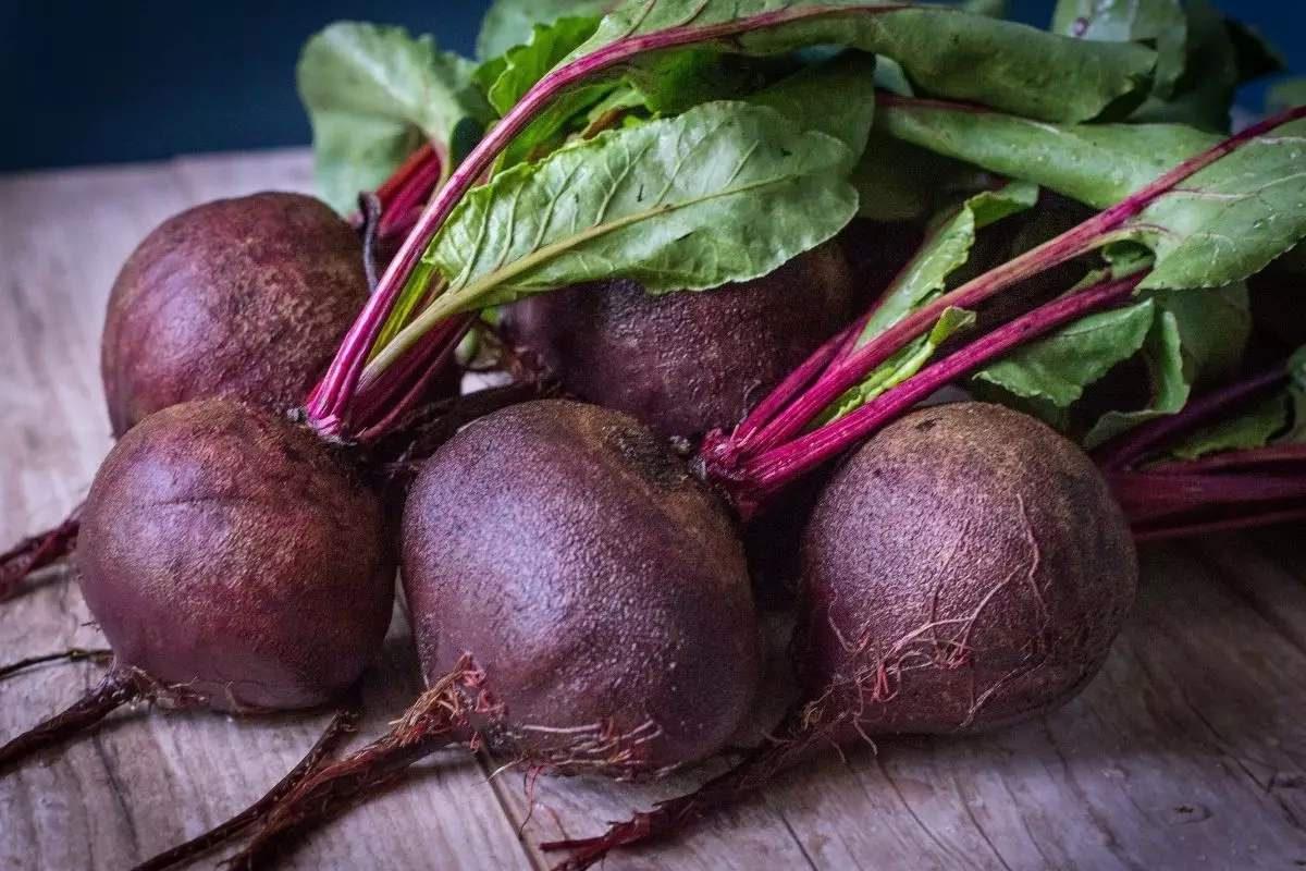 Beterraba: aprenda como plantar esse legume tão nutritivo e ajuda a melhorar anemia; Saiba mais - reprodução: Canva