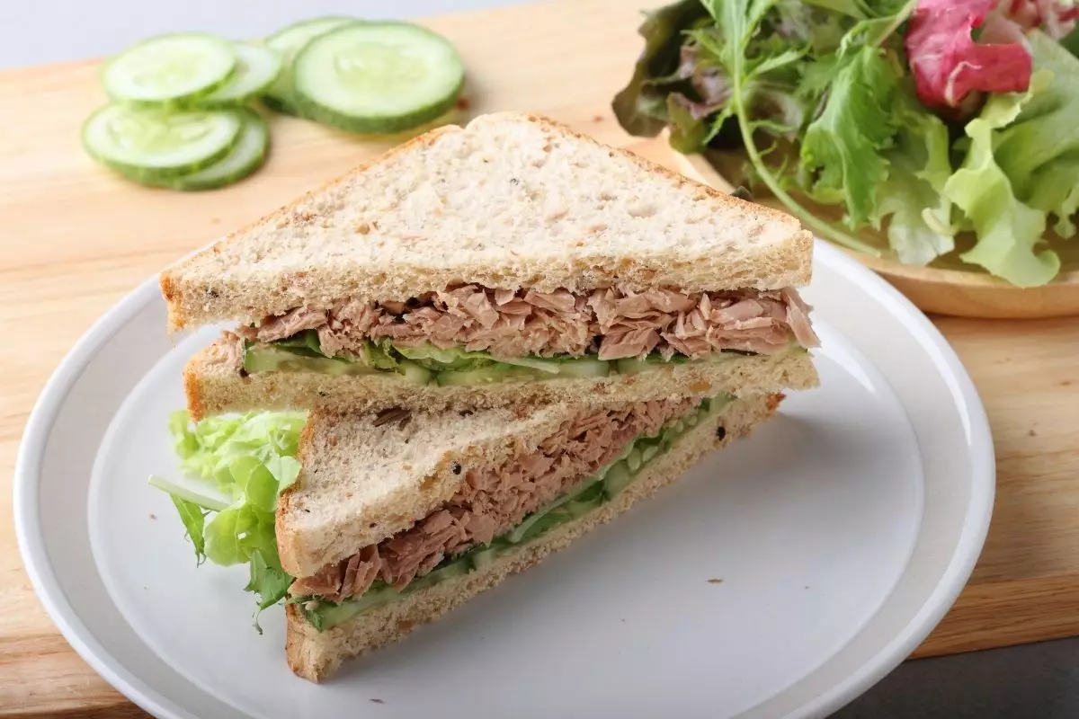 Nutricionista ensina receita de sanduíche natural com patê de atum confira - Reprodução Canva