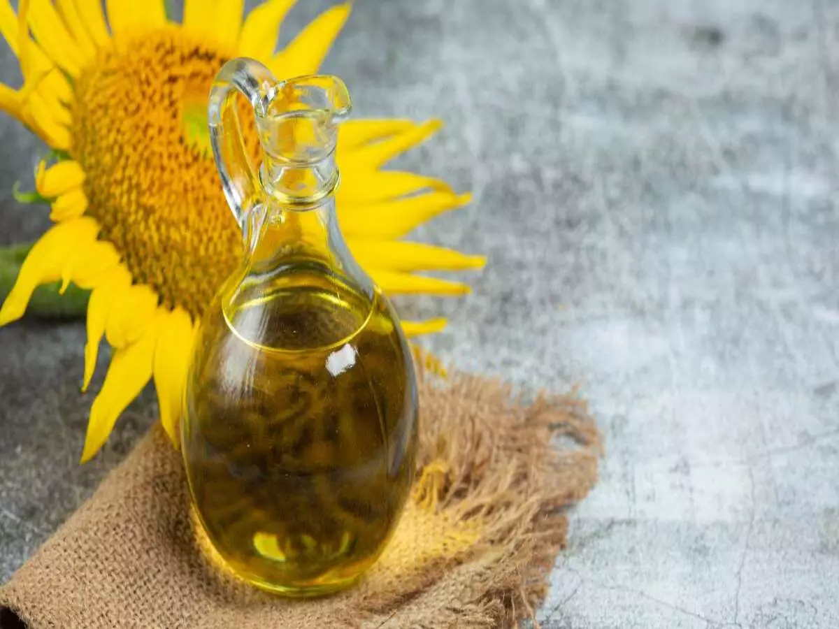 Como fazer óleo de girassol caseiro? Veja dicas práticas e baratas para preparar o seu alimento - Fonte: Pixabay