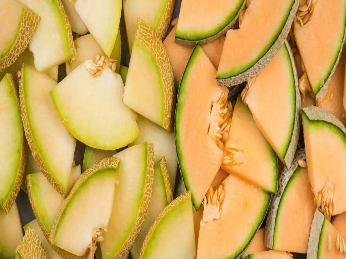 Como reutilizar casca de melão? Veja dicas super fáceis que podem te ajudar - Fonte: Pixabay